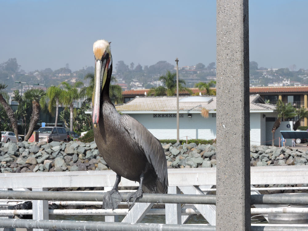 California,