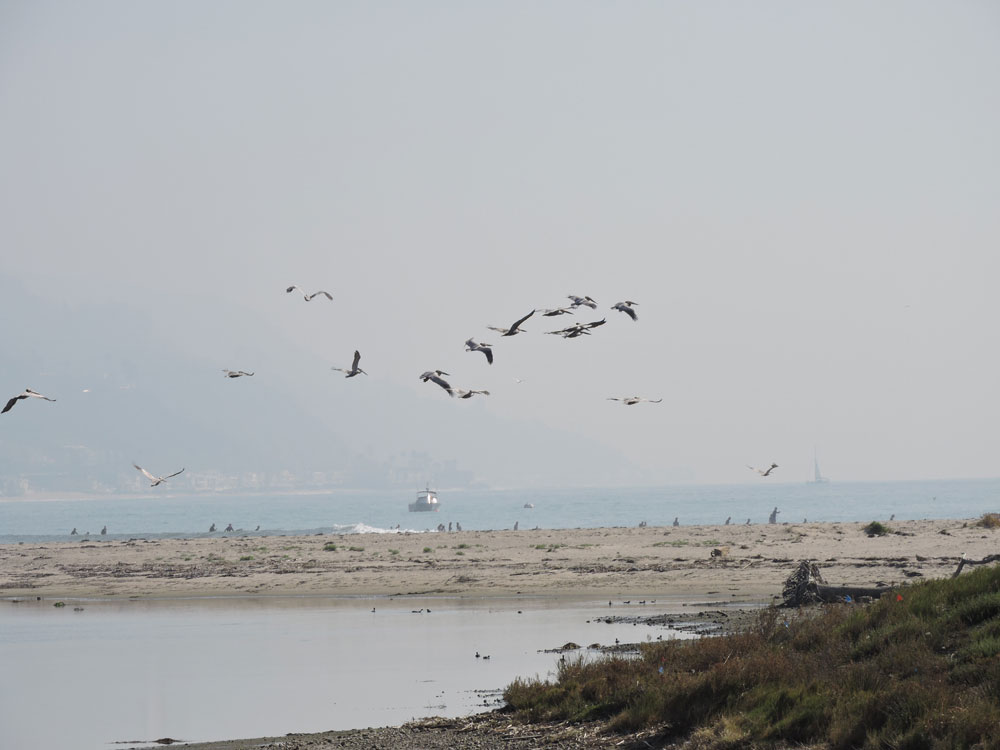 California,