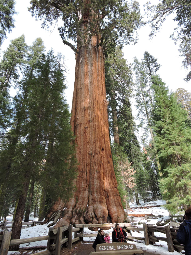 California,