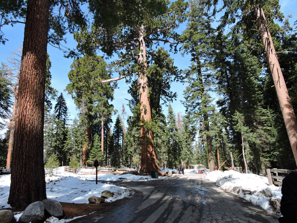 California,