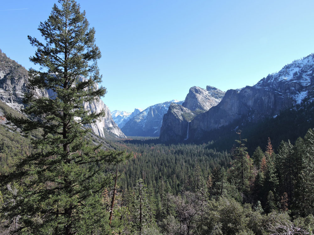 California,