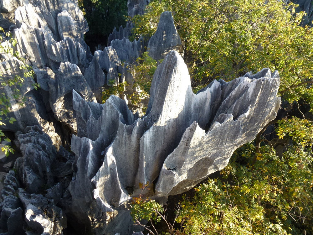Yunnan, Foresta di Pietra