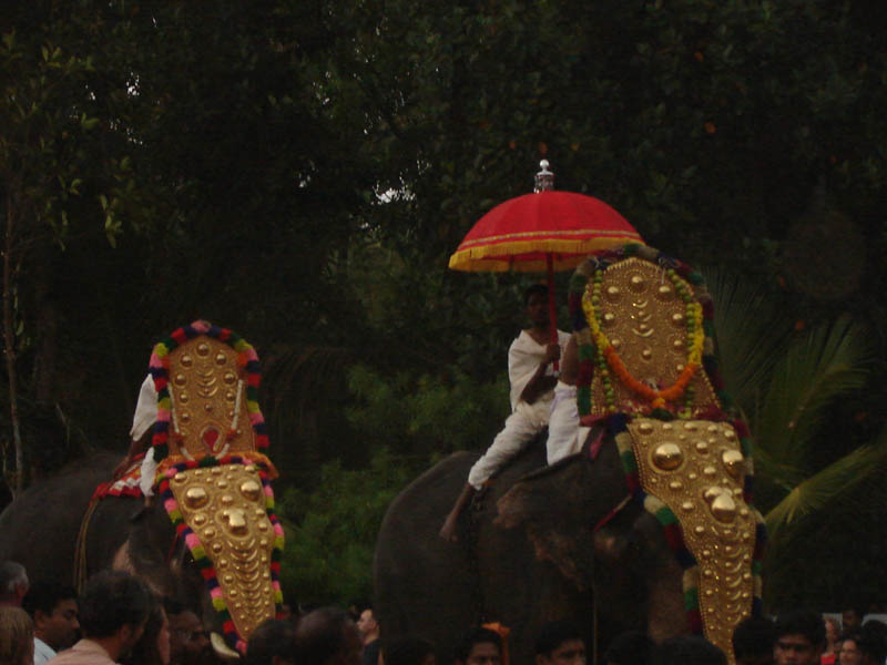India, Kerala - Sfilata degli elefanti a Varkala.