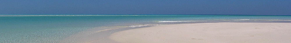 Socotra,spiaggia di Detwah