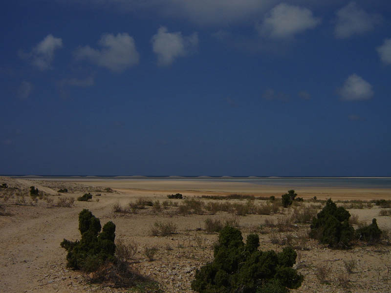 Socotra, Detwah Area Protetta